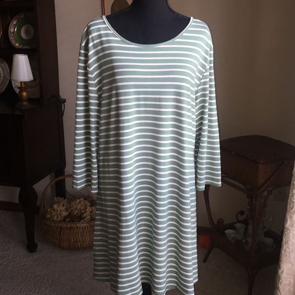 Nuggles Sage and White Tunic Top